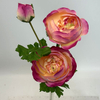 Single Stem Artificial Ranunculus, Gradient Pink-Orange