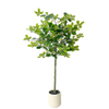 Artificial Tung Tree 59'' Realistic Faux Green Plant for Home and Office Decoration