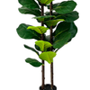 Artificial 51inch Ficus Lyrata Plants Trees In Pot, Tall Fiddle Leaf Fig Trees