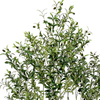 Majestic Faux Olive Tree 82.68inch – Artificial Olive Tree Indoor & Outdoor with Lifelike Leaves