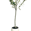 Olive Tree 150cm Artificial