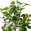 Artificial Camellia Tree 39inch Faux Floral Plant with Red Flowers And Green Leaves 