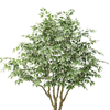 2026 new Simulated 94.5-inch White-edged Banyan Tree Pot with Durable Plastic Trunk for Office And Home Decor