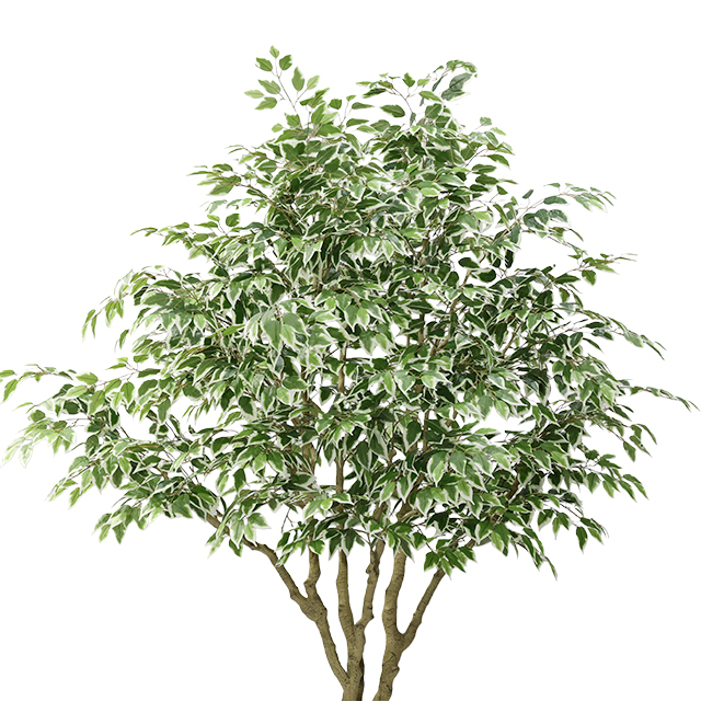 2026 new Simulated 94.5-inch White-edged Banyan Tree Pot with Durable Plastic Trunk for Office And Home Decor