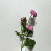 3-Head Single Stem Artificial Ranunculus, Vibrant Hot Pink