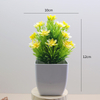 Potted bloom (Multi-Color Mini Artificial Flower Potted Plant, 12cm Height)