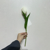 Artificial White Tulip Stem, Long Stem with Foliage
