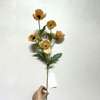 Artificial Champagne Poppy Stem, 5-Bloom with Foliage
