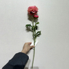 Artificial Blush Pink Ranunculus Stem