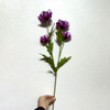 Artificial Purple Poppy Stem, 4-Bloom with Foliage