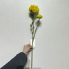 Artificial Bright Yellow Ranunculus Stem