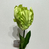 Artificial Frilly Light Green Tulip Stem
