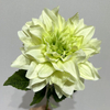Artificial Lime Green & White Dahlia Stem