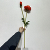  Long Stem with Foliage,Artificial Red Poppy Stem