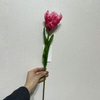 Artificial Frilly Hot Pink Parrot Tulip Stem