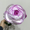 Artificial White-Purple Edge Ranunculus Stem