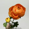 Artificial Gradient Orange-Yellow Ranunculus Stem