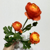 Artificial Gradient Orange-Yellow Multi-Bloom Ranunculus Stem