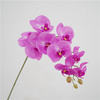 Artificial Phalaenopsis Orchid Stem Bundle (13 Color Options)
