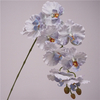 Artificial Phalaenopsis Orchid Stem Bundle (Multi-Color Options)