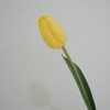 Artificial Tulip Flower Stem Bundle (7 Color Options)