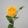 Artificial Single Rose with Bud Stem Bundle (6 Color Options)