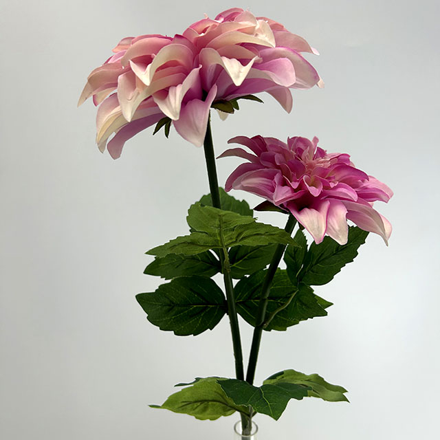 Artificial Pink-white Gradient Dahlia Flower