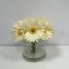 Artificial Cream White Gerbera Daisy Stem Bundle
