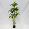  Artificial Ficus Tree (Cordyline Fruticosa / Brazilian Iron Tree)