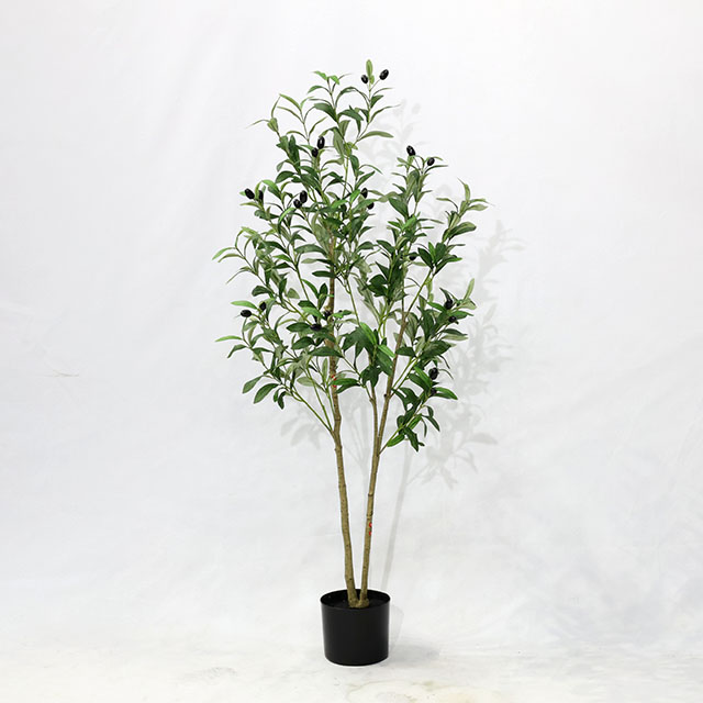 QH27G3035 120cm拆装橄榄树.JPG