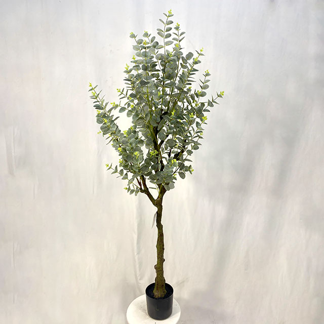QH27G3084 金钱树150cm.jpg