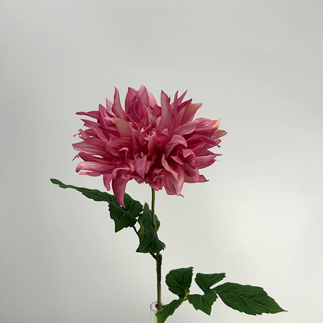 Single Head Artificial Dahlia, Deep Blush Pink Gradient