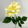 Single Stem Artificial Dahlia, Cream Yellow with Blush Pink Tips