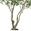 Olive Tree Artificial Indoor 96inches Realistic Faux Olive Tree in Pot