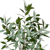 Artificial Eucalyptus Tree Realistic Potted Faux Eucalyptus Tree in Black Pot 47inch Porch 