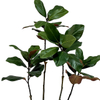Artificial 59inch Plant Magnolia Tree, Artificial Potted Ornamental Tree
