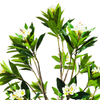 Artificial 83inch Plumeria Trees in Black Pot Real Touch Lifelike Hawaiian Foam Frangipani Flower for Wedding Party Decoration