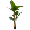 Artificial 71-inch Three-Pole Banana Tree a Large Tropical-Style Artificial Plant for Home Decor
