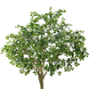 Artificial 94.5inch Disassembly And Assembly Faux Aralia Tree