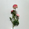 3-Head Single Stem Artificial Ranunculus, Blush Pink Ombré