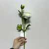 Artificial Two-Tone Green Ranunculus, Single Bloom with Bud & Green Foliage