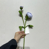 Artificial Two-Tone Light Purple Ranunculus, Single Bloom with Bud & Green Foliage