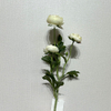 3-Head Single Stem Artificial Ranunculus, Pure Cream White