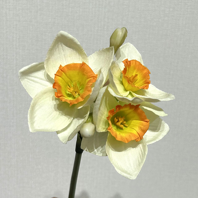 3-Head Single Stem Artificial Daffodil, Cream White with Orange-Yellow Ruffled Center