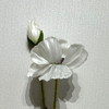 Artificial White Poppy Stem, Double Bloom with Foliage