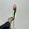 Artificial Two-Tone Pink & Peach Tulip Stem, Long Stem with Foliage