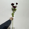 Artificial Deep Burgundy Anemone Stem