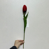 Artificial Red Tulip Stem, Long Stem with Foliage