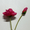 Artificial Fuchsia Pink Poppy Stem, Double Bloom with Foliage
