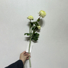 Artificial Cream-White Multi-Bloom Ranunculus Stem